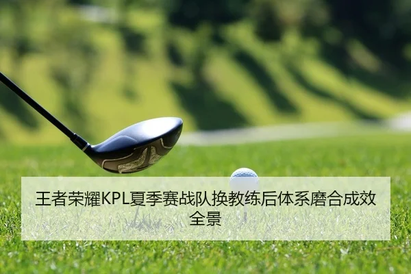 王者荣耀KPL夏季赛战队换教练后体系磨合成效全景